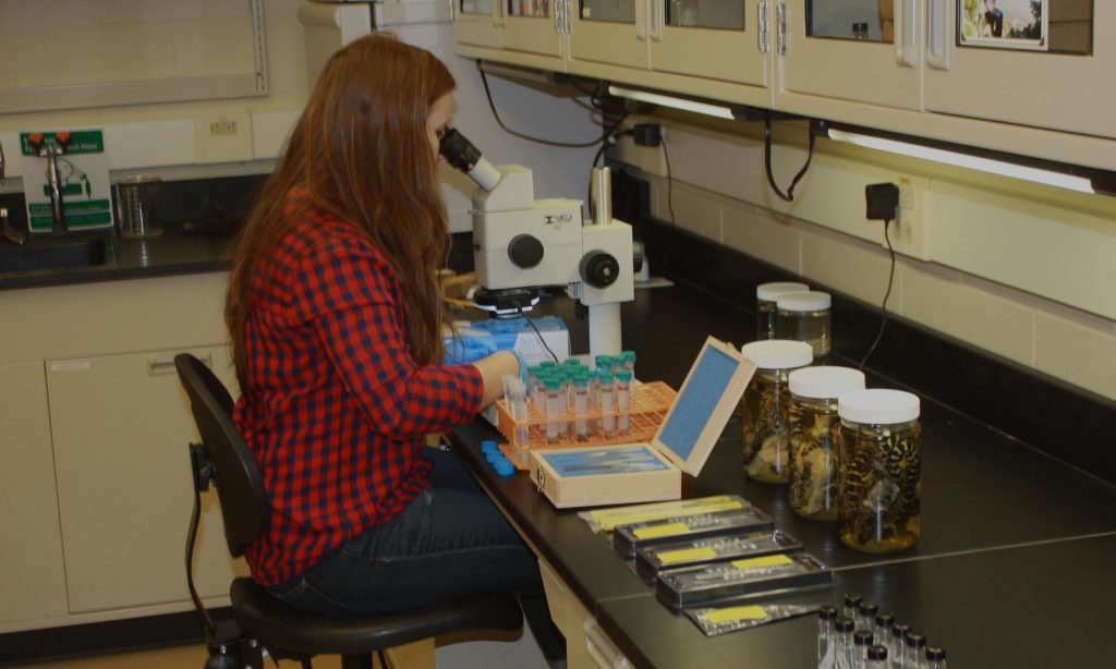 Undergraduate-Research-Projects